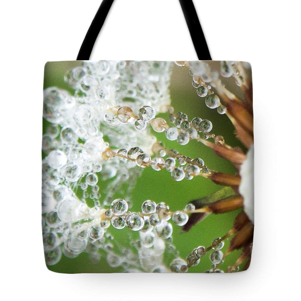 Closeup Tote Bag featuring the photograph Dewy Diamond Dandelion 3 of 12 by Cheryl McClure