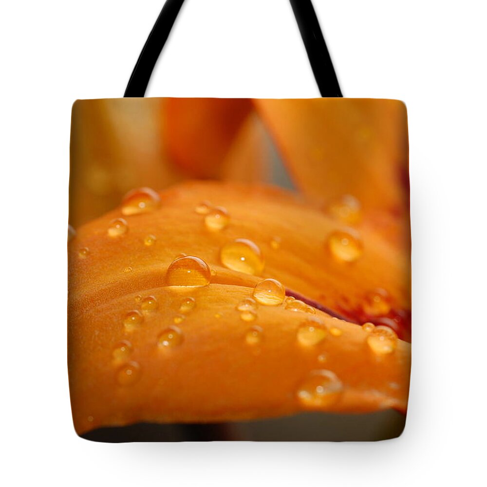 Lily Tote Bag featuring the photograph Dewy Orange Lily Petal by Amy Fose