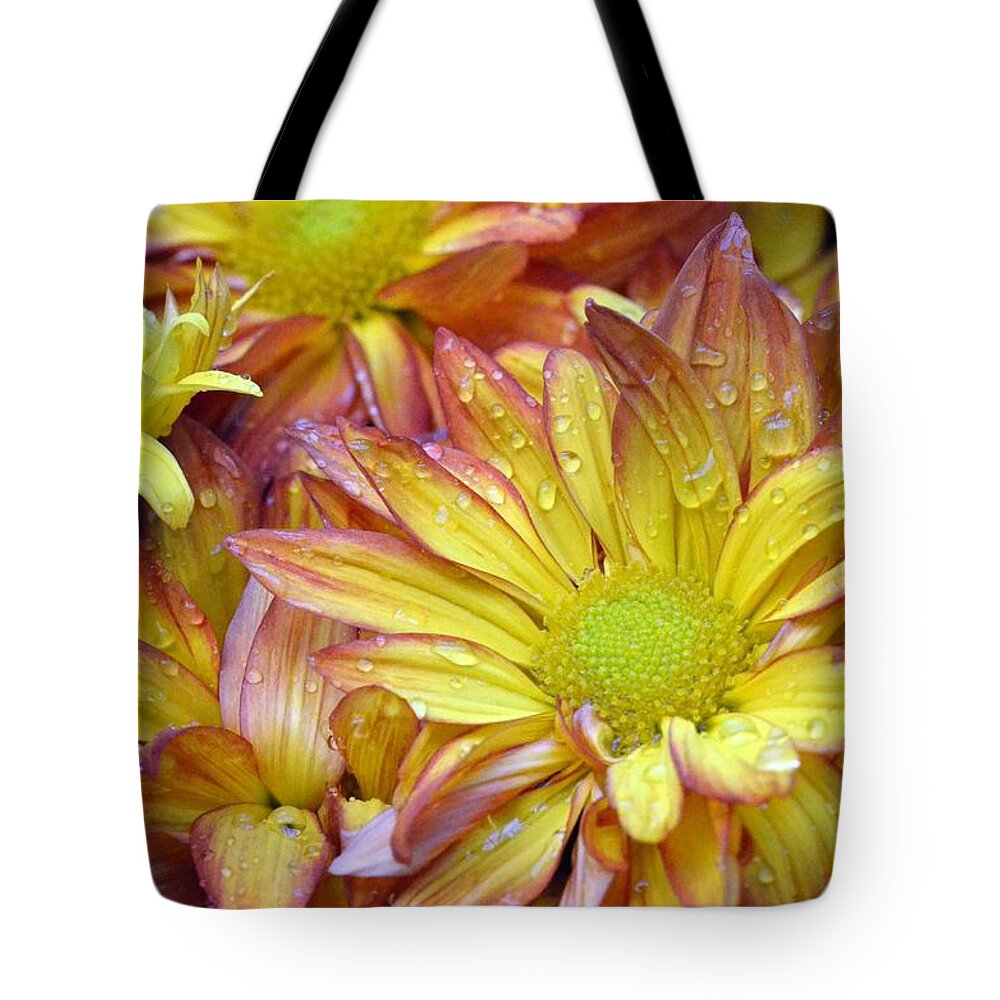 Daisy Tote Bag featuring the photograph Dewy Pink and Yellow Daisies 2 by Amy Fose