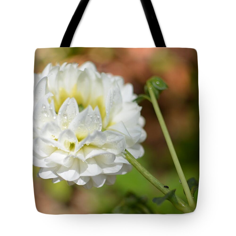 Dahlia Tote Bag featuring the photograph Dewy White Dahlia by Amy Fose