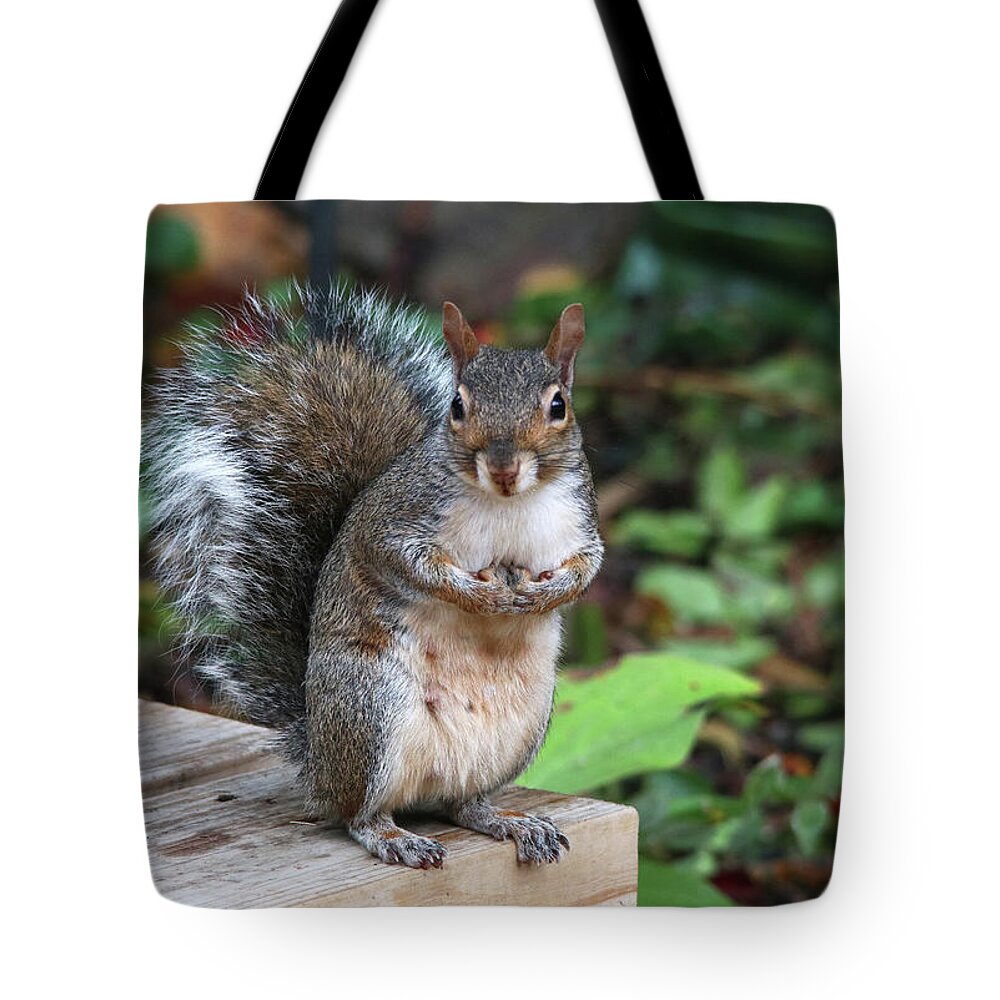 Wildlife Tote Bag featuring the photograph Did You Say There Were Nuts? by Trina Ansel