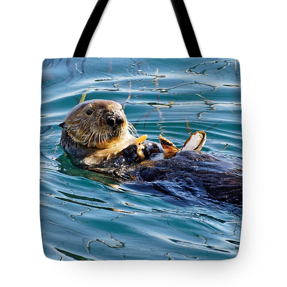 Kj Swan Aquatic Animals Tote Bag featuring the photograph Dining Al Fresco - Sea Otter by KJ Swan