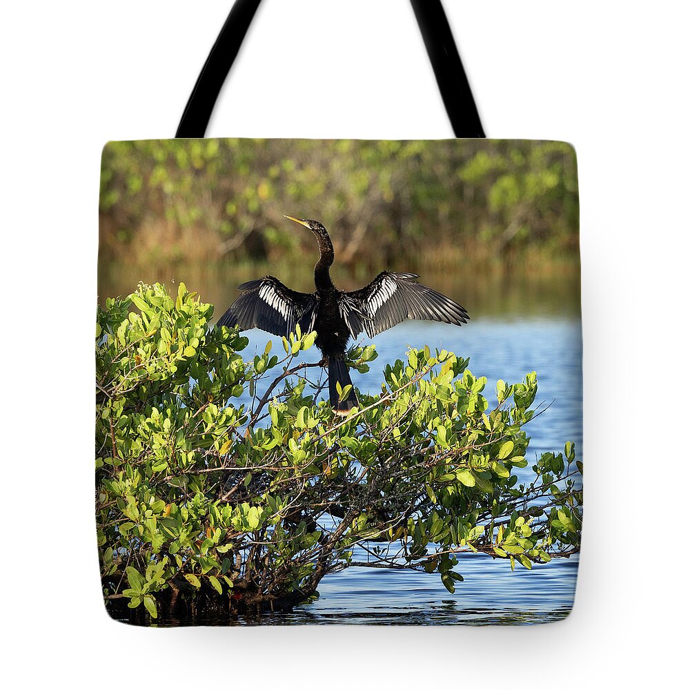 R5-26151 Tote Bag featuring the photograph Directing Traffic by Gordon Elwell