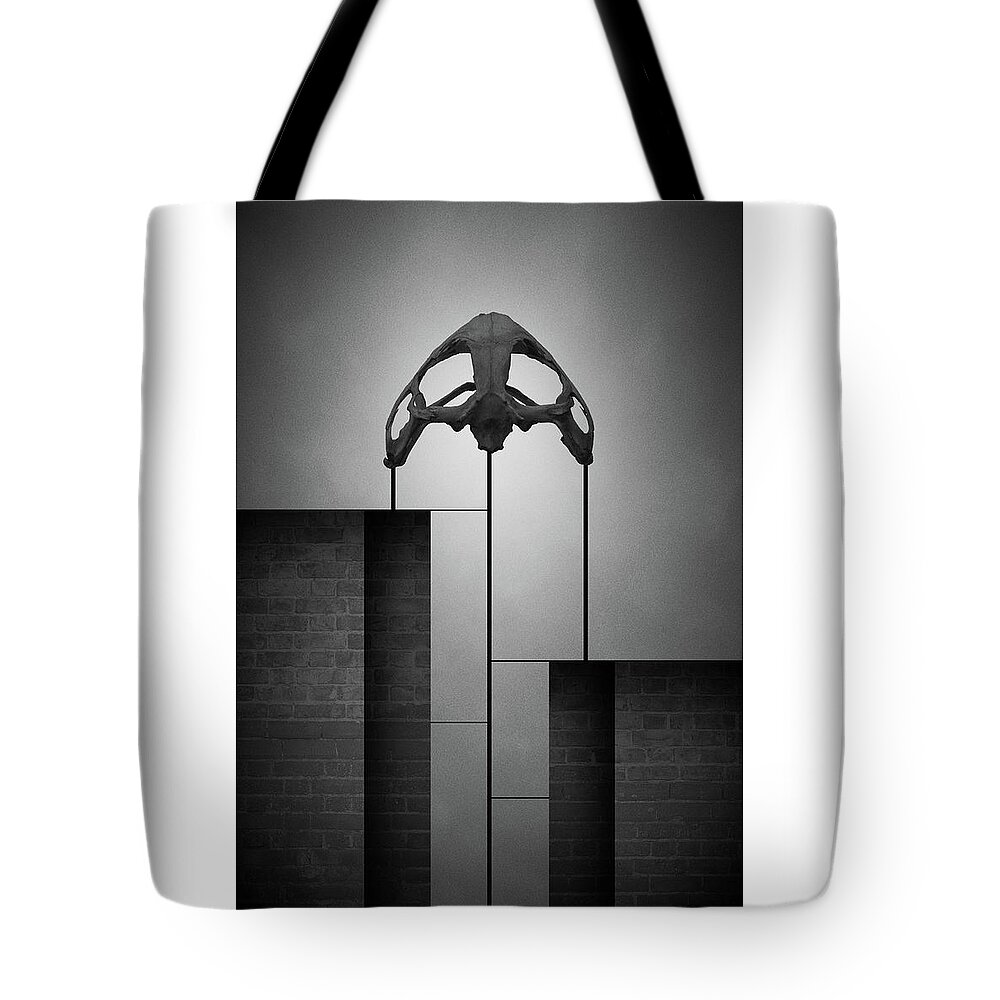 Graphic Tote Bag featuring the photograph Disjecta ii by Joseph Westrupp