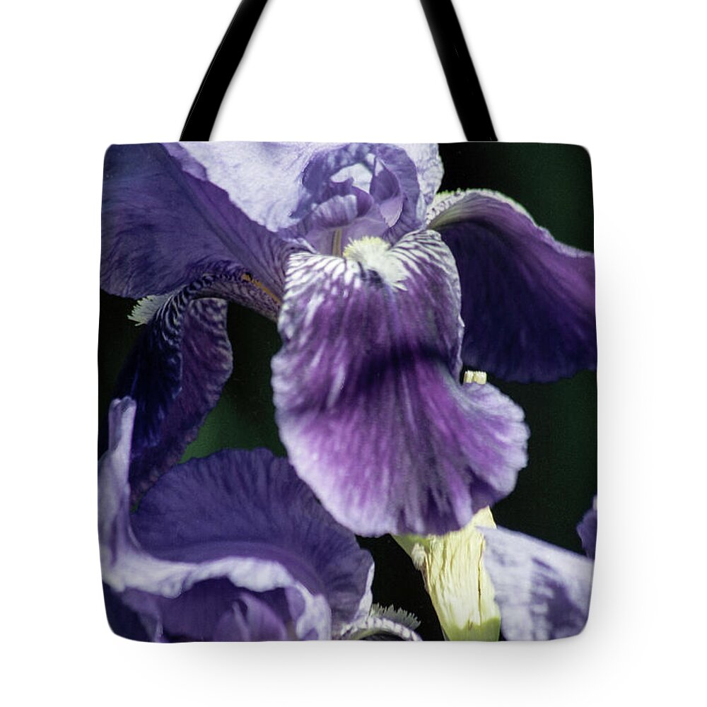 Arizona Tote Bag featuring the photograph Displaying My Beard by Kathy McClure
