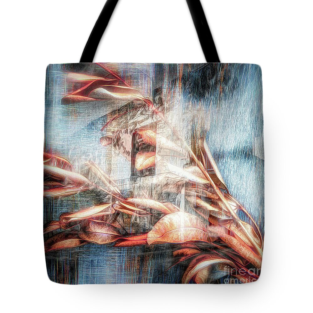  Tote Bag featuring the photograph Distorted Mirror by Hugh Walker