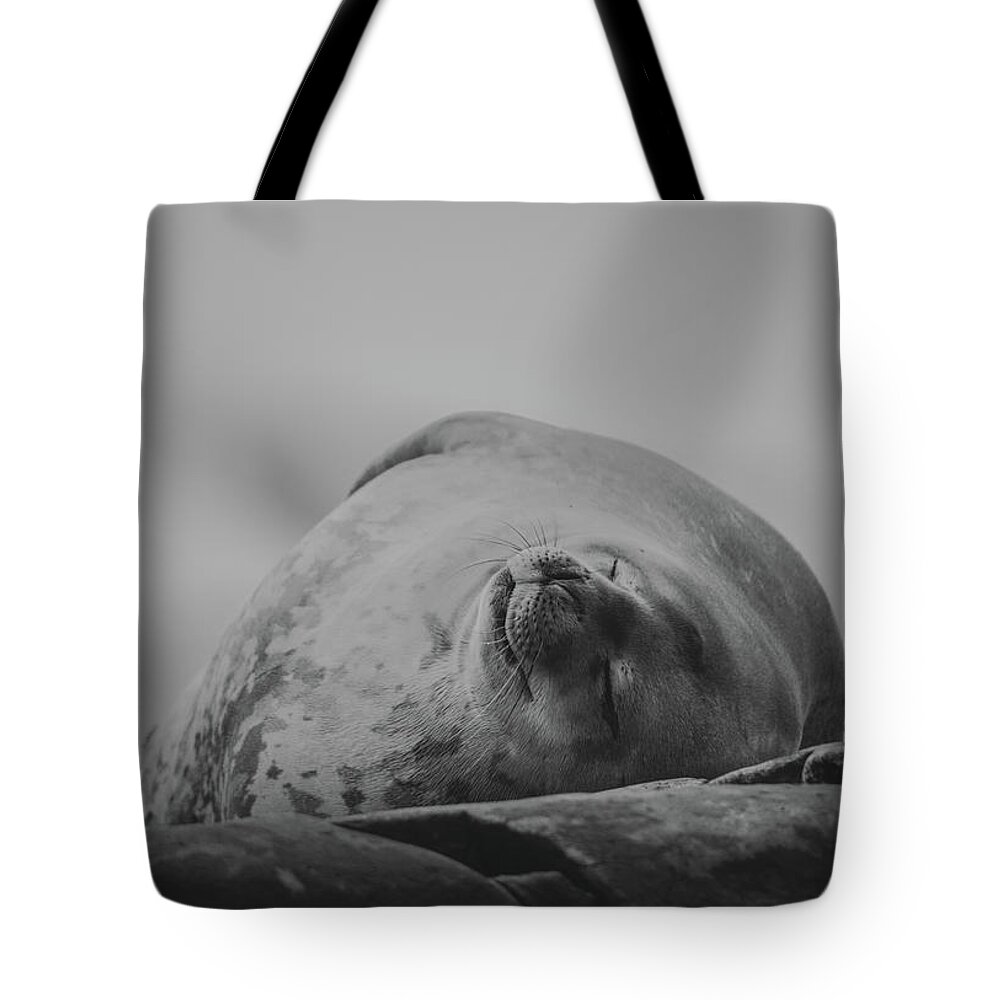 03feb20 Tote Bag featuring the photograph Do Not Awaken - Makes Me Crabby BW by Jeff at JSJ Photography