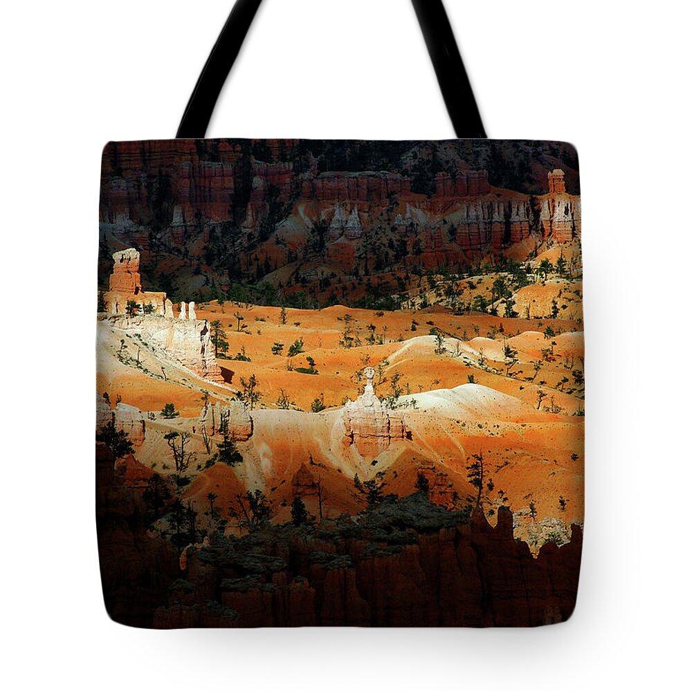 Vkp Tote Bag featuring the photograph Do You Bielive in Magic by Vicki Pelham