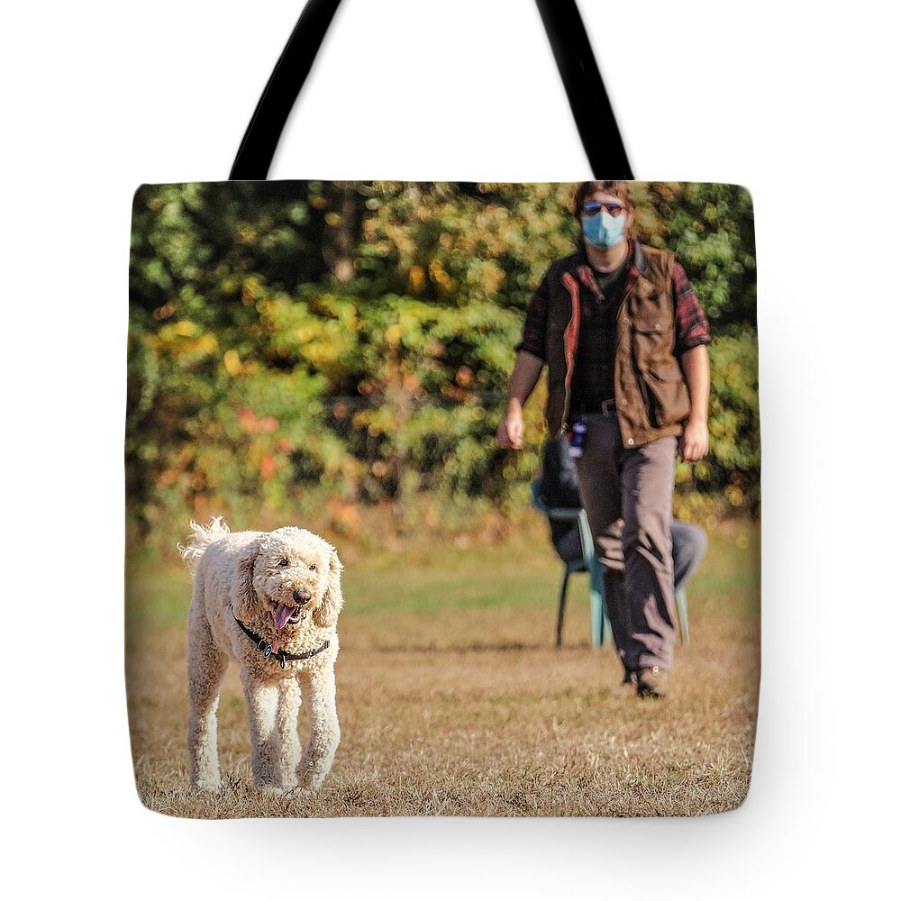 Dog Tote Bag featuring the photograph Doddle2 by John Linnemeyer