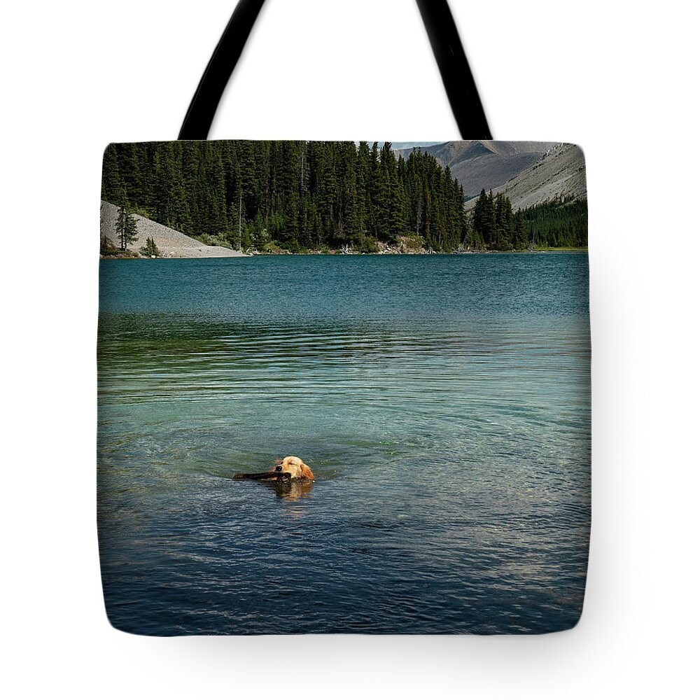 Dog Tote Bag featuring the photograph Dog in Elbow Lake, Alberta by Karen Rispin