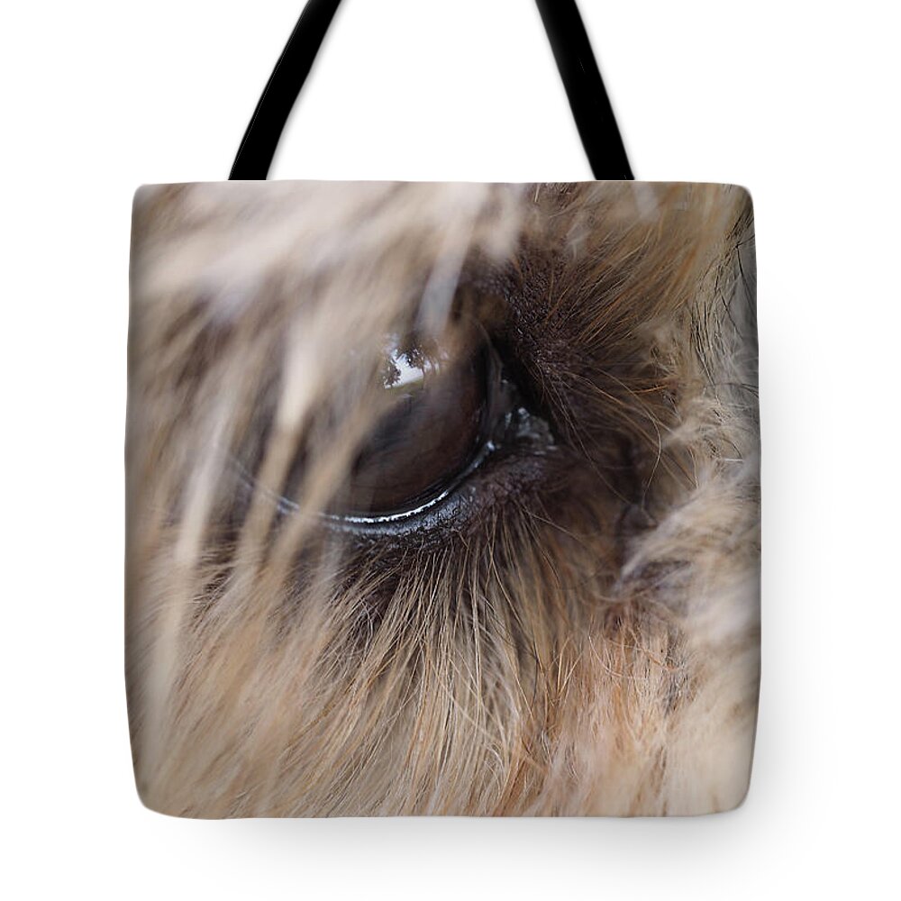 Dog Tote Bag featuring the painting Dog's eye by Sv Bell