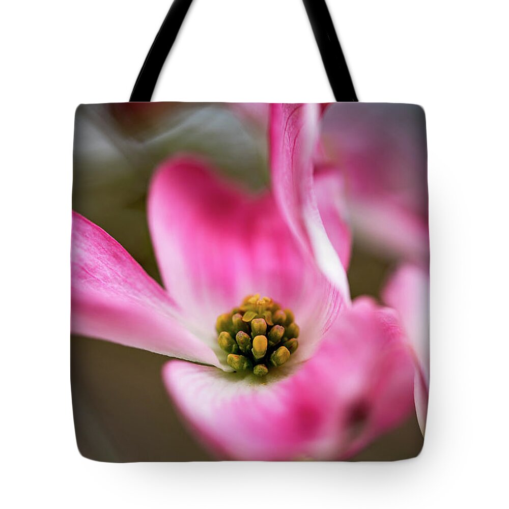 Pink Tote Bag featuring the photograph Dogwood Blossom in Pink by Ada Weyland