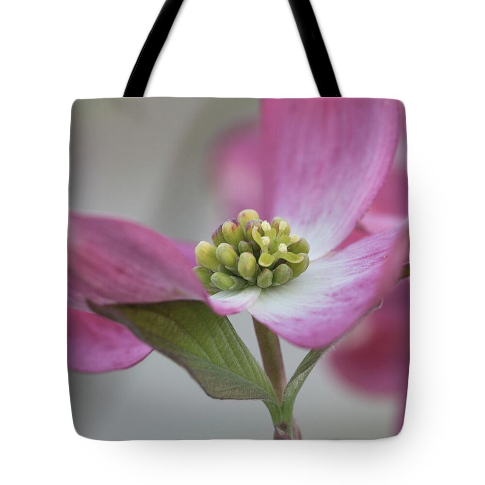 Flower Tote Bag featuring the photograph Dogwood by David Beechum