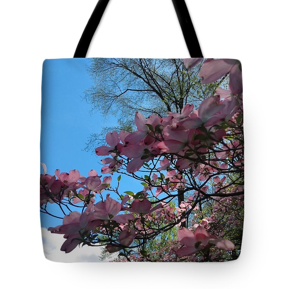 Sky Tote Bag featuring the photograph Dogwood Tree and Blue Skies by Christopher Lotito