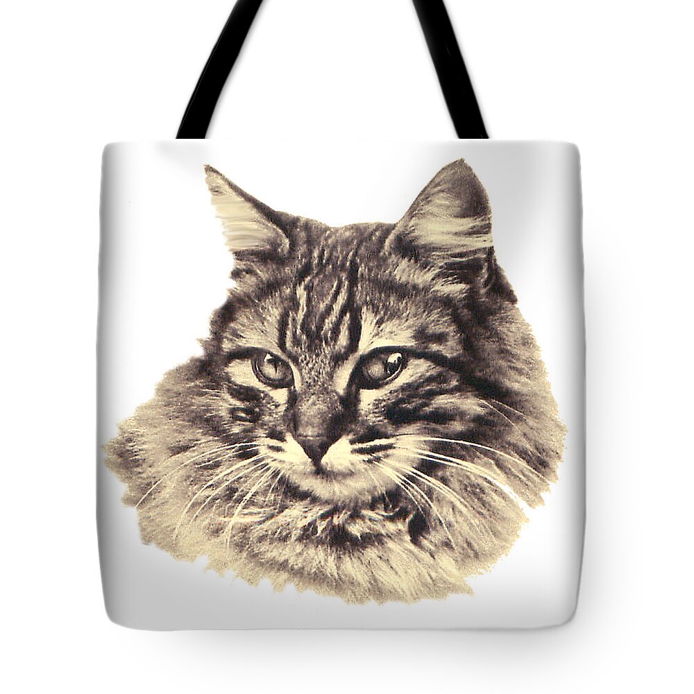 Cute Tote Bag featuring the digital art Domestic Cat Photo by Long Shot