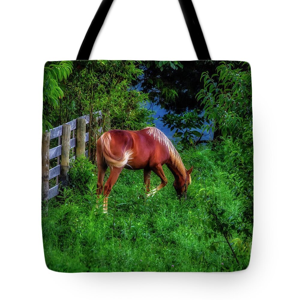 Horse Tote Bag featuring the photograph Don't fence me in... by Shelia Hunt
