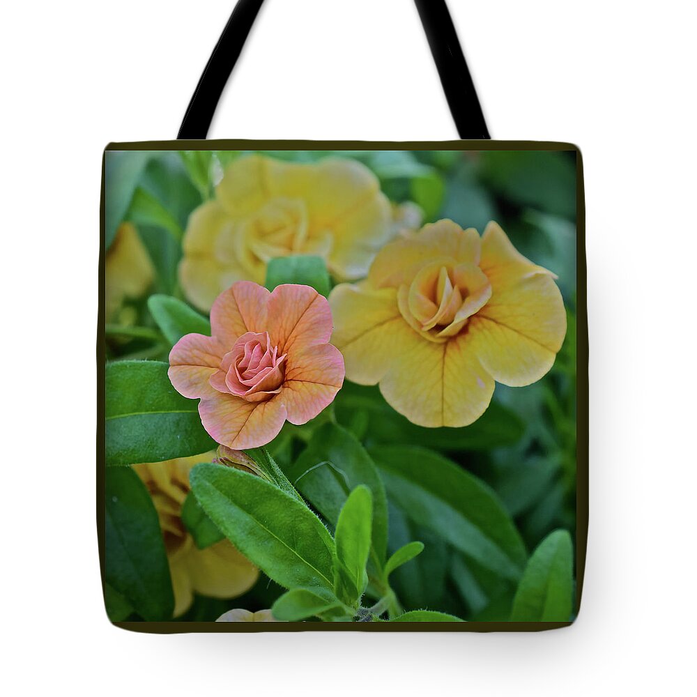 Flowers Tote Bag featuring the photograph Double Amber Calbrachoa by Janis Senungetuk
