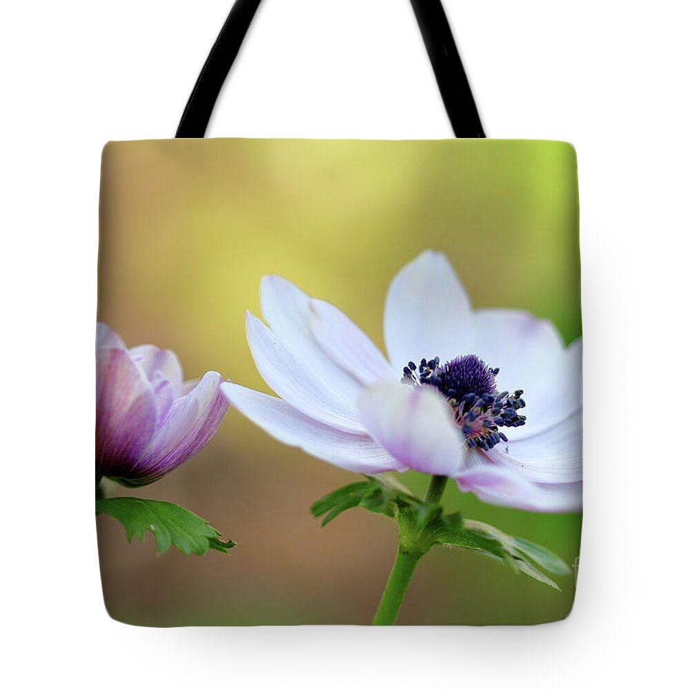 Nature Tote Bag featuring the photograph Double Anemone by Baggieoldboy