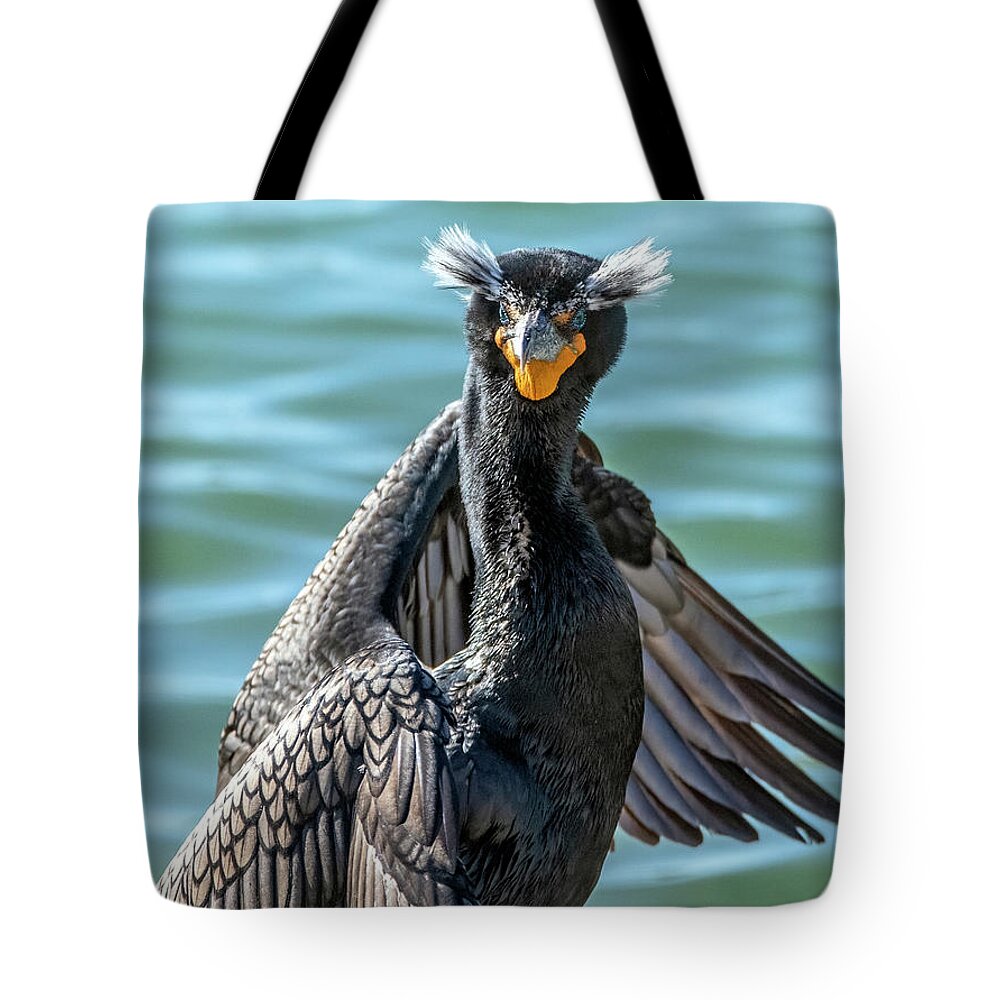 Double-crested Cormorant Tote Bag featuring the photograph Double-crested Cormorant 8677-022122-2 by Tam Ryan