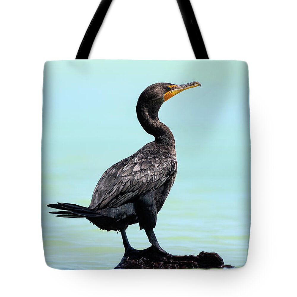 Carbo Tote Bag featuring the photograph Double-crested cormorant - Phalacrocorax auritus by Olivier Parent