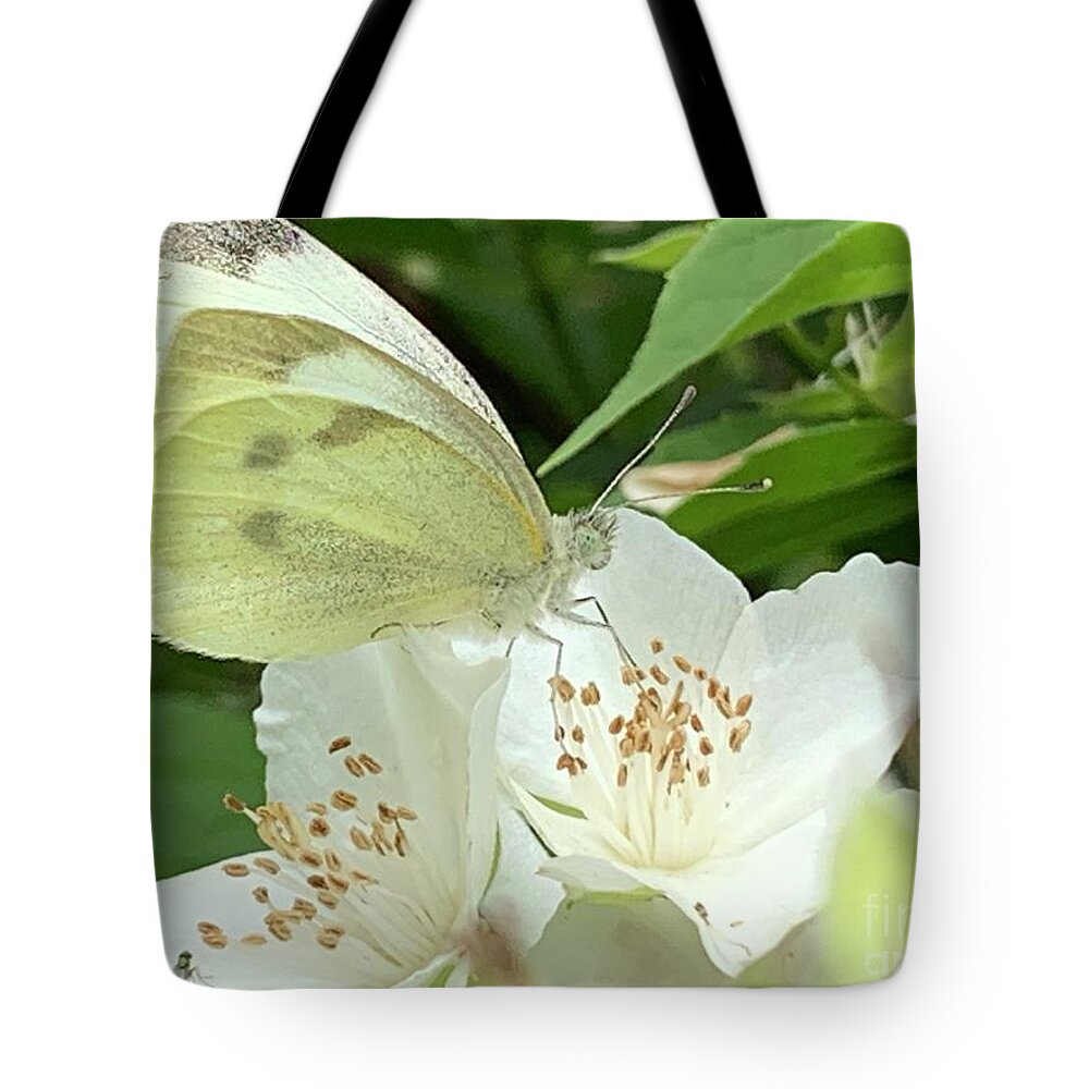 Beautiful Tote Bag featuring the photograph Double Delight by Catherine Wilson