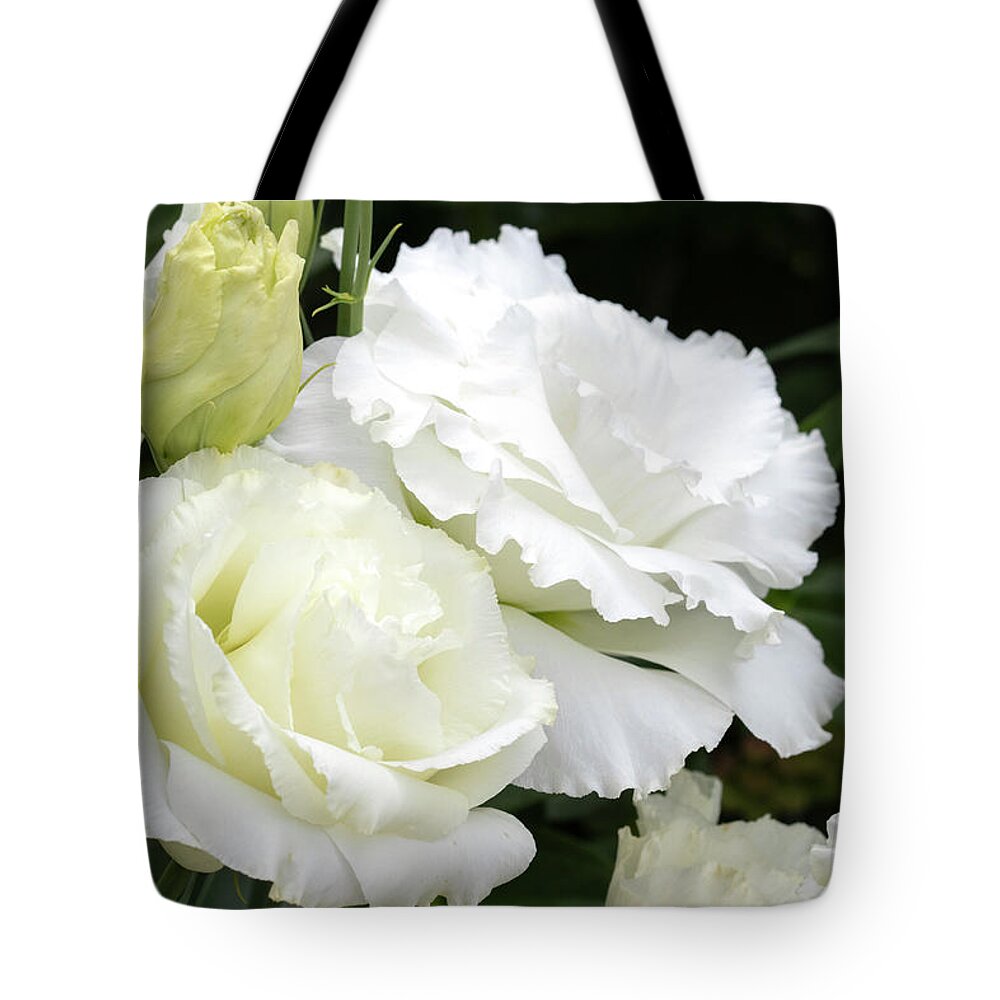Double Tote Bag featuring the photograph Double Hibiscus by Patty Colabuono