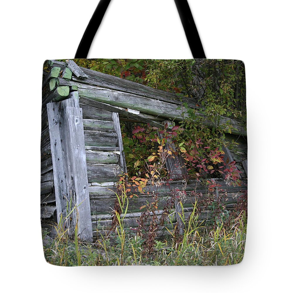Colours Tote Bag featuring the photograph Down and Out by Mary Mikawoz