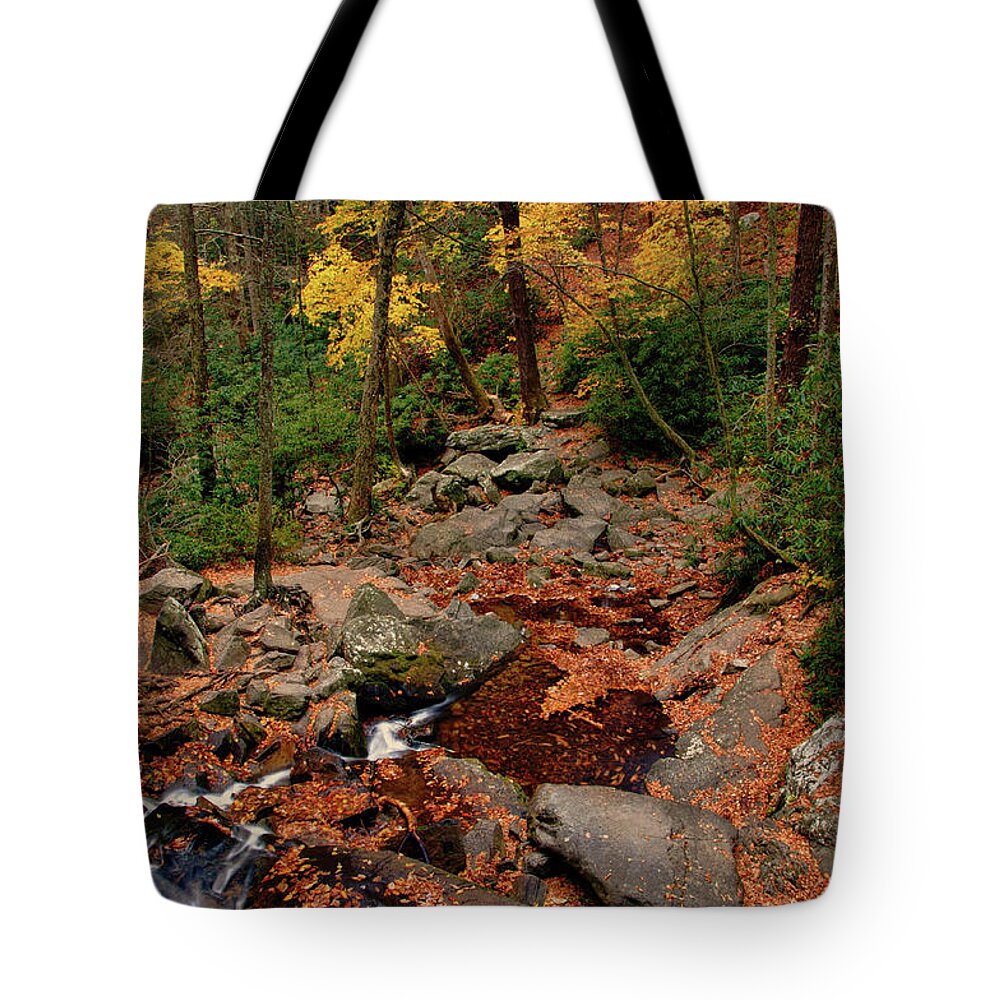 Great Smoky Mountains National Park Tote Bag featuring the photograph Down from the Falls by Melissa Southern