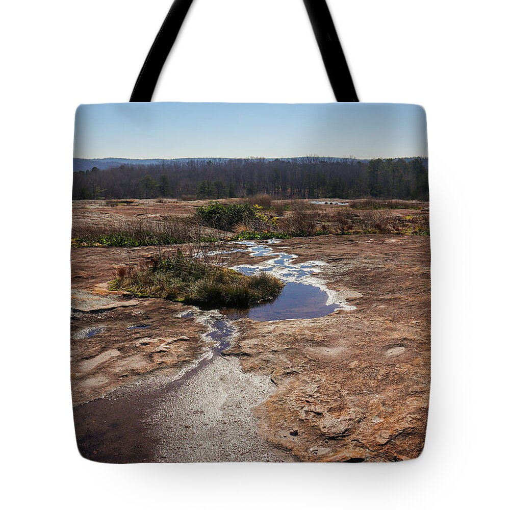 Arabia Mountain Tote Bag featuring the photograph Down The Mountain Blues by Ed Williams