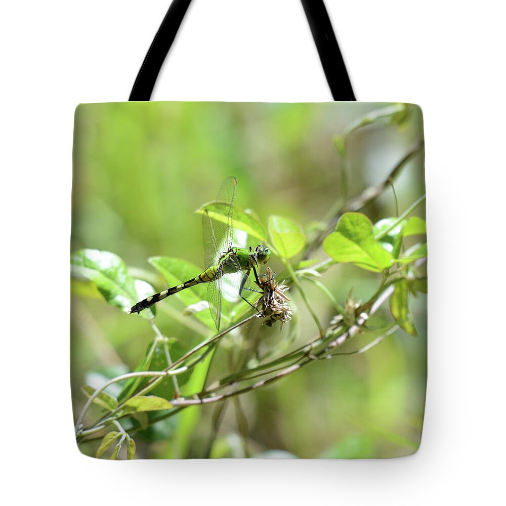  Tote Bag featuring the photograph Dragon 5 by David Armstrong