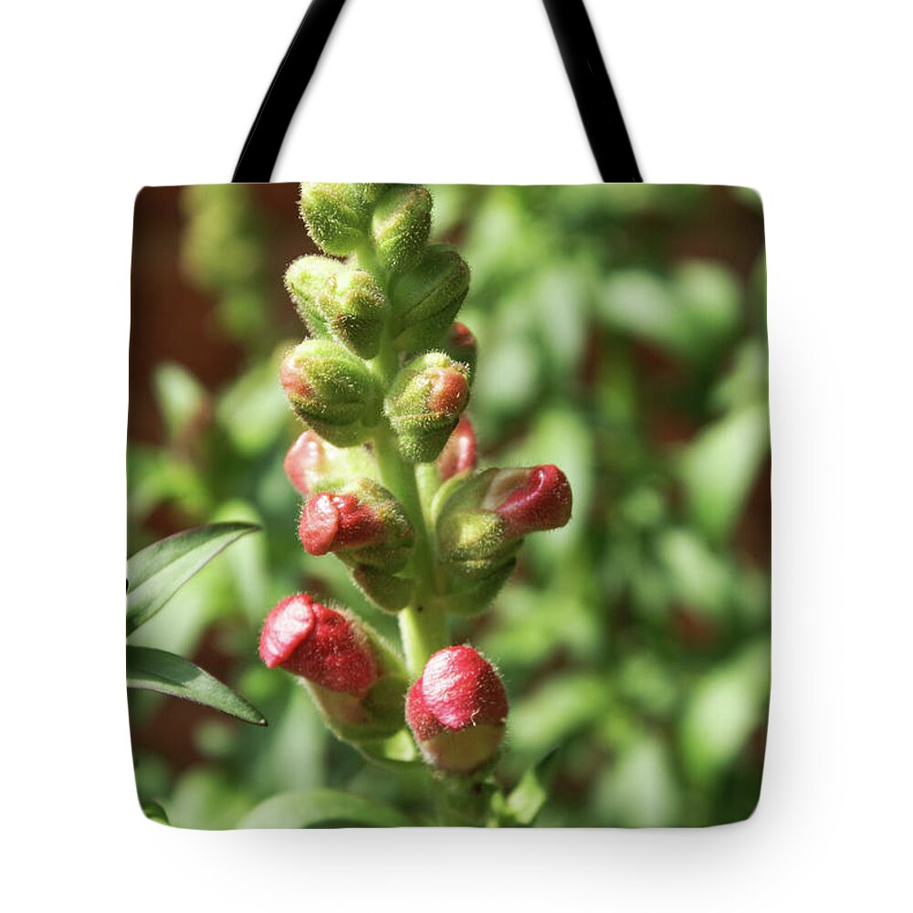  Tote Bag featuring the photograph Dragon Buds by Heather E Harman