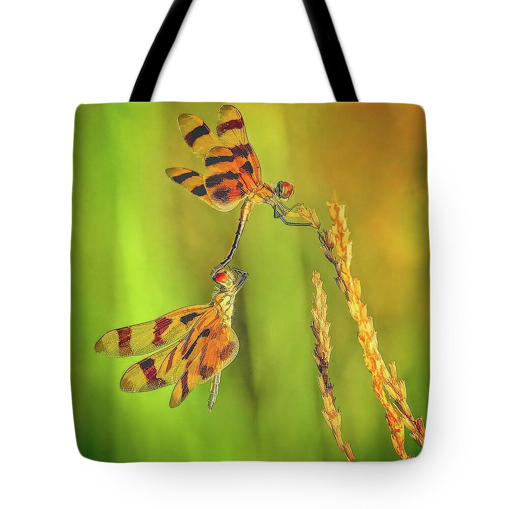 Dragonfly Tote Bag featuring the photograph Dragonflies by Steve DaPonte