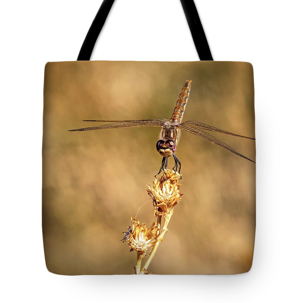 Dragonfly Tote Bag featuring the photograph Dragonfly 2 by James Sage