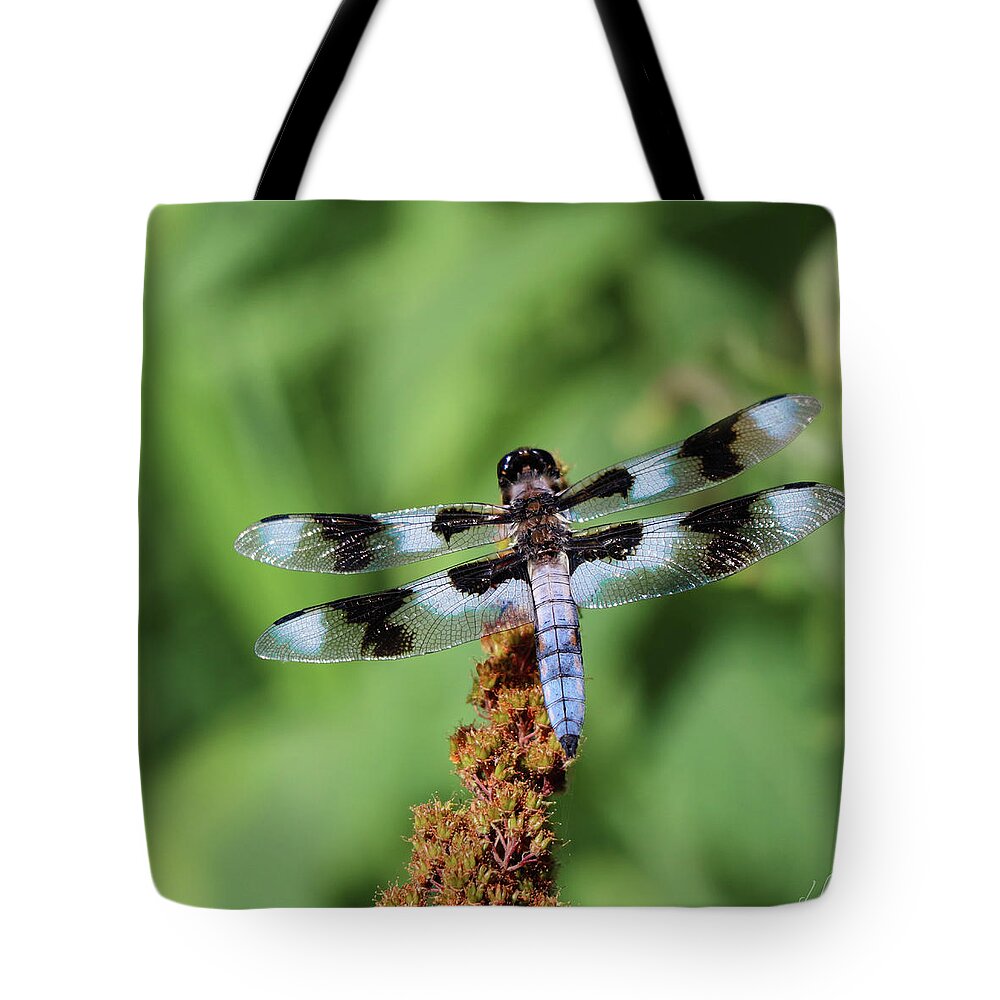 Dragonfly Tote Bag featuring the photograph Dragonfly Daydream by D Lee
