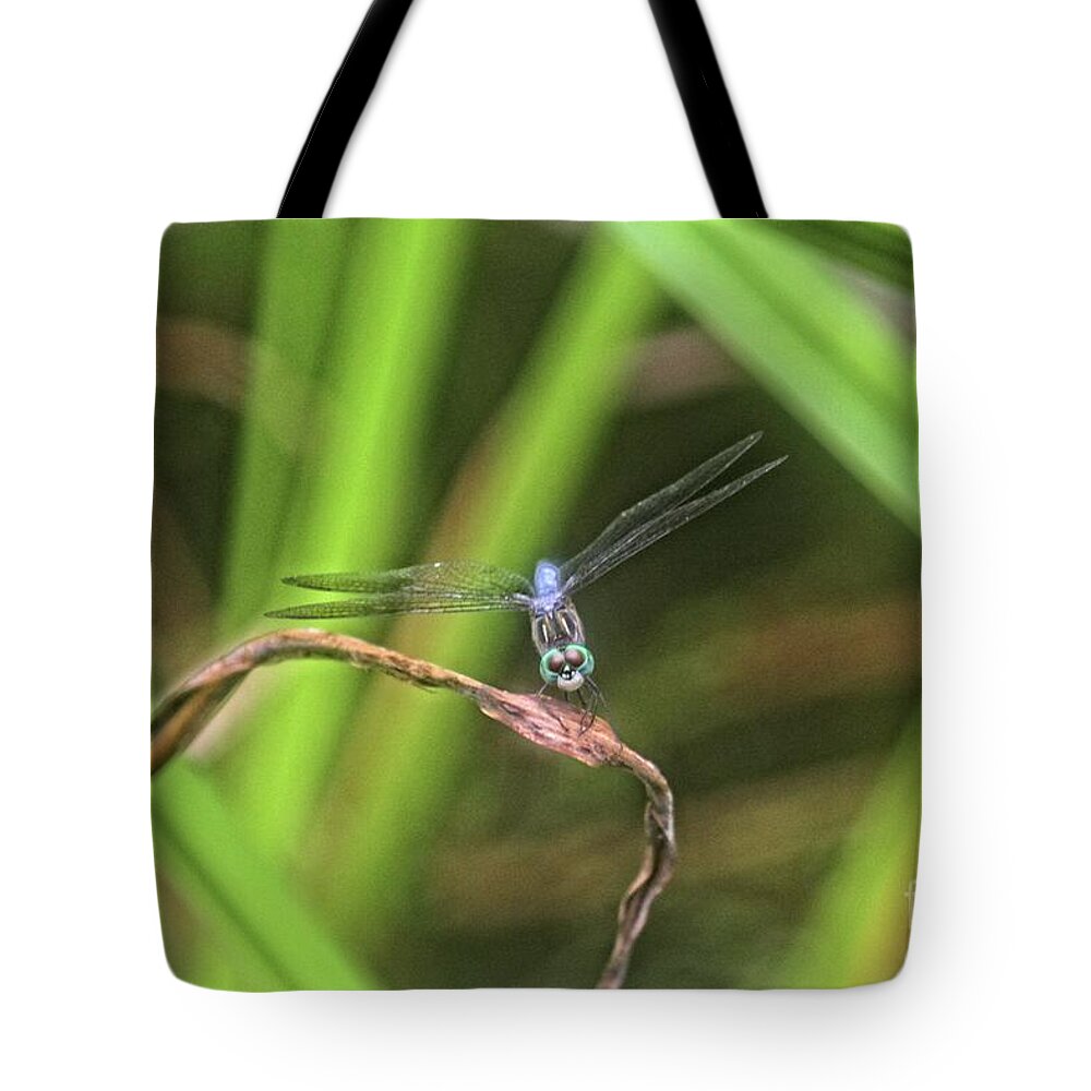 Insects Tote Bag featuring the photograph Dragonfly in Central Park by Patricia Youngquist