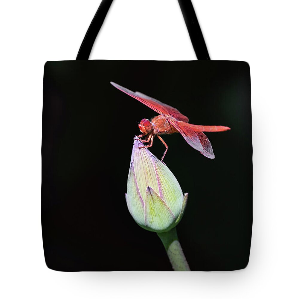 Lotus Tote Bag featuring the photograph Dragonfly on Lotus Flower by Gary Geddes