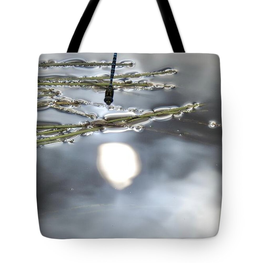 Sun Reflected Tote Bag featuring the photograph Dragonfly talks to the Sun by Nicola Finch