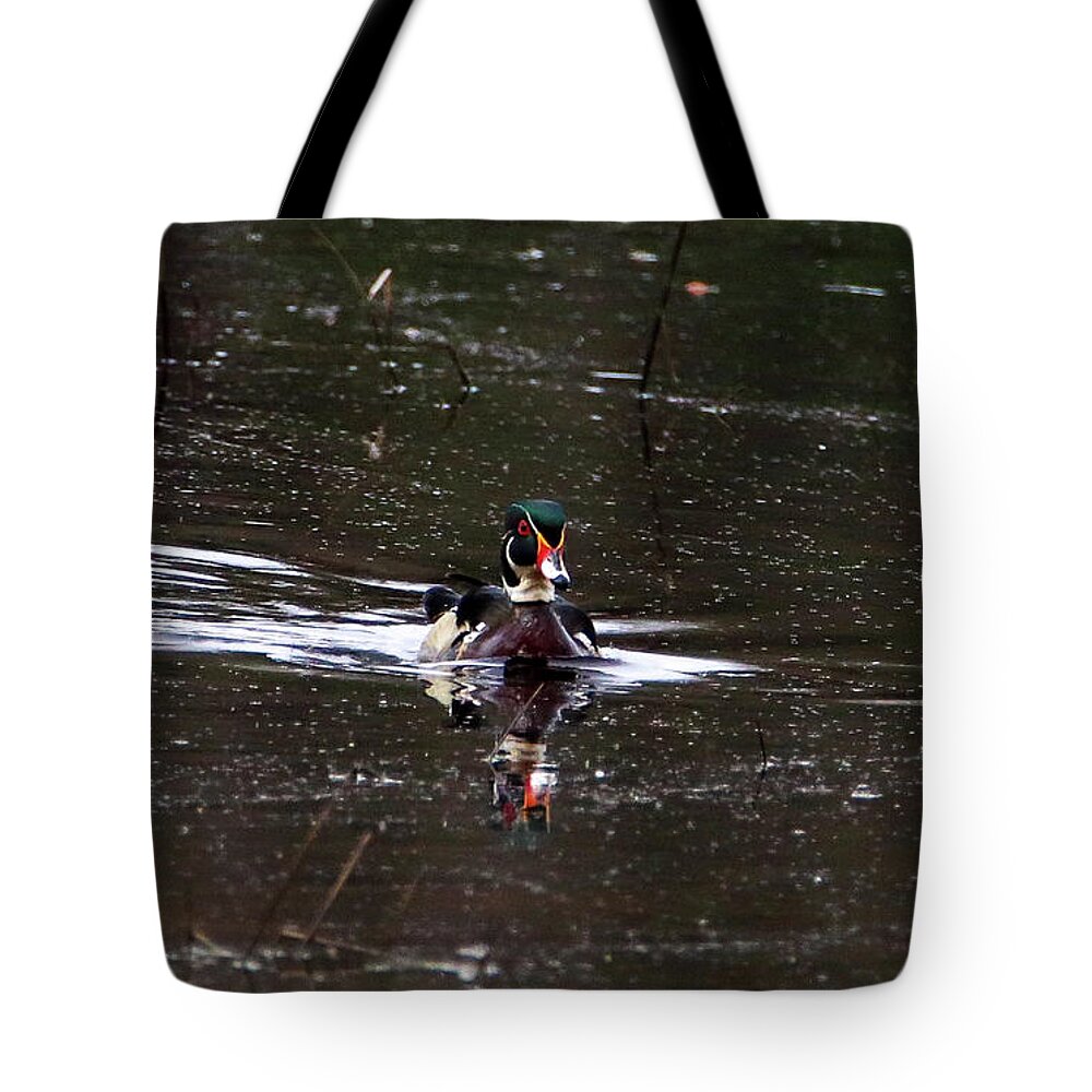 Woody Tote Bag featuring the photograph Drake Wood Duck by David Kipp