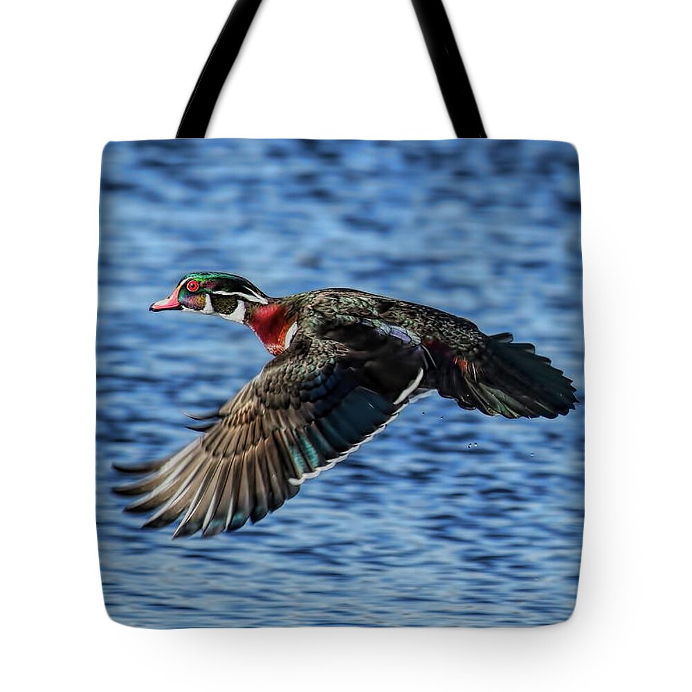Waterfowl Tote Bag featuring the photograph Drake Wood Duck In Flight by Dale Kauzlaric