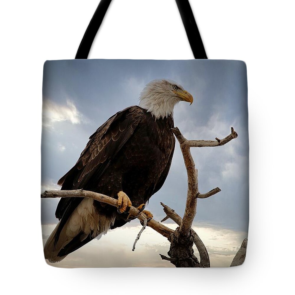 Eagle Tote Bag featuring the photograph Dramatic by Veronica Batterson