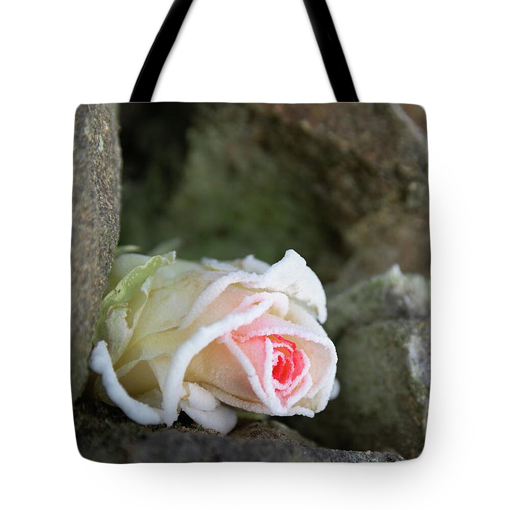 Rose Tote Bag featuring the photograph Dream of the ice princess 2 by Adriana Mueller