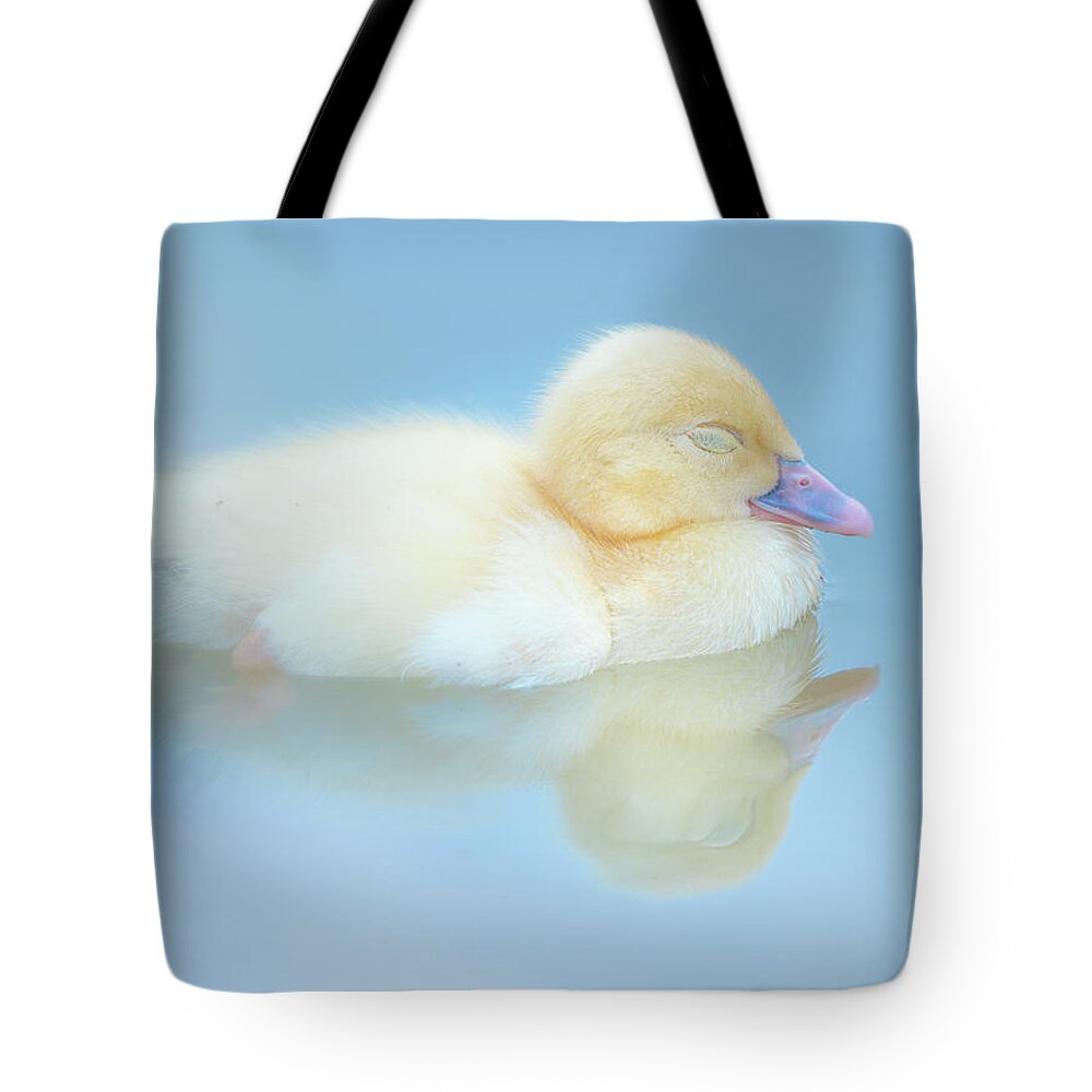 Yellow Duckling Tote Bag featuring the photograph Dream Reflections by Jordan Hill