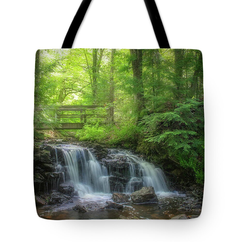 Waterfall Tote Bag featuring the photograph Dreaming at the Waterfall by Robert Carter