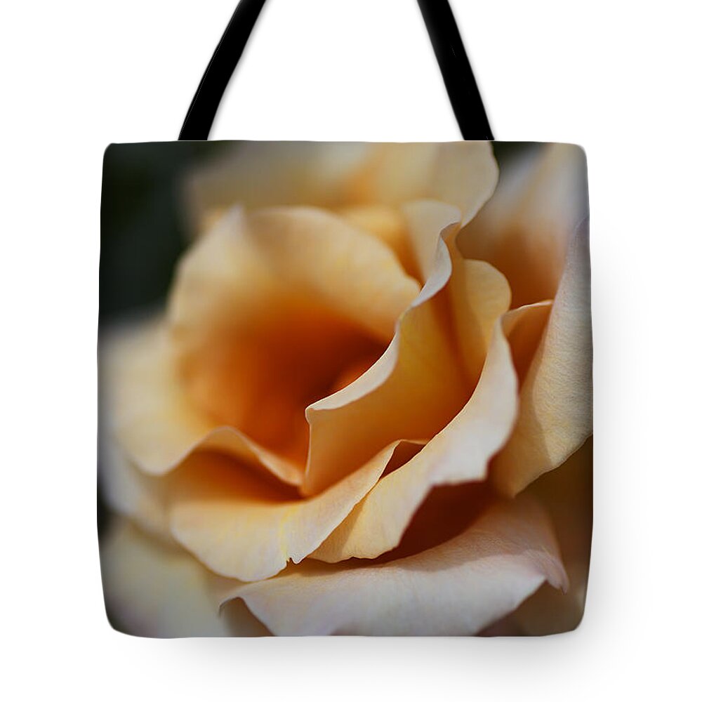 Julia's Rose Flower Tote Bag featuring the photograph Dreaming Coffee Rose by Joy Watson