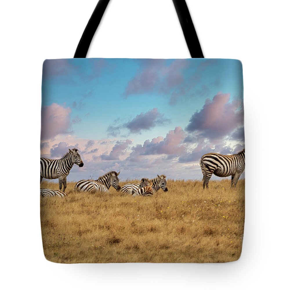 Zebra Tote Bag featuring the photograph Dreaming of Zebras in the California Hills by Mimi Ditchie