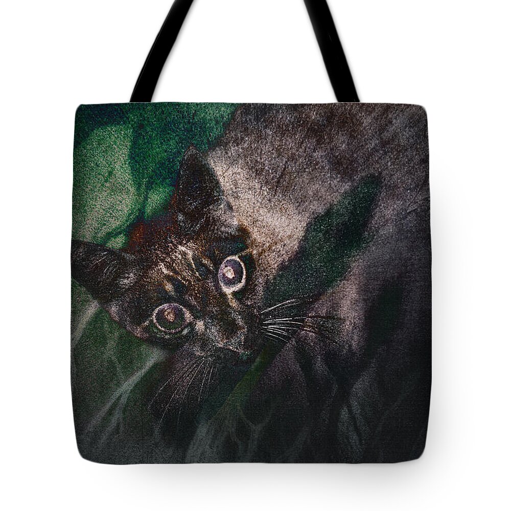 Photography Tote Bag featuring the photograph Dreams of the Wild by Craig Boehman