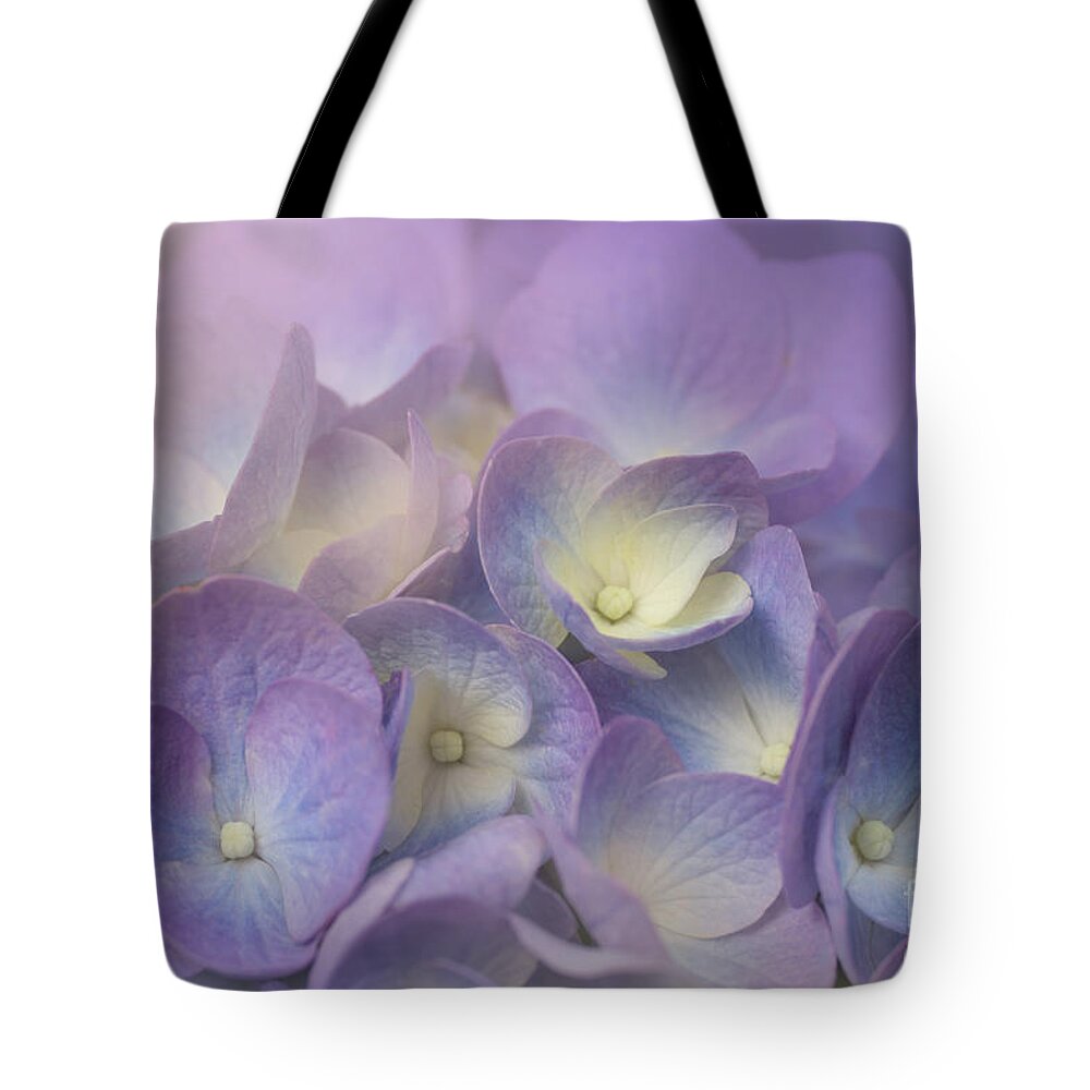 Nikko Blue Hydrangea Tote Bag featuring the photograph Dreamy Hydrangea Petals by Amy Dundon