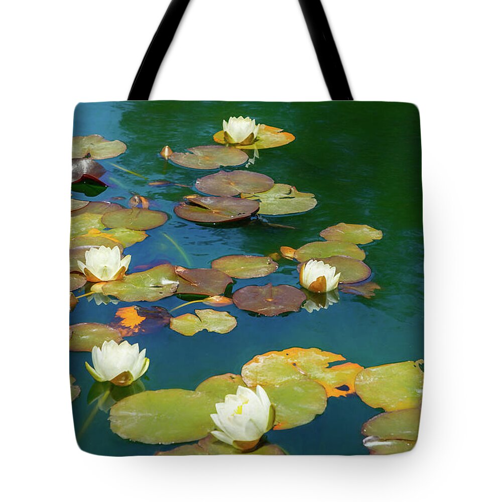 Water Lily Tote Bag featuring the photograph Dreamy Water Lilies on Pond by Bonnie Follett