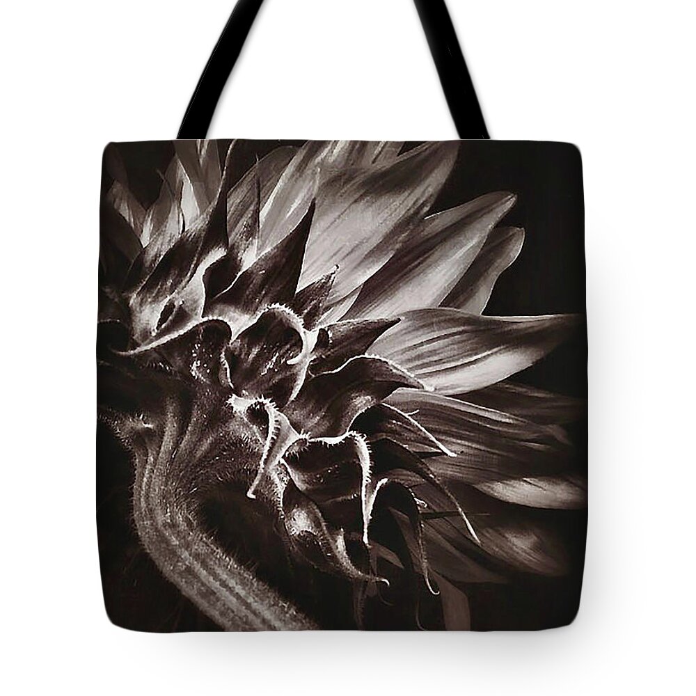 Black And White Tote Bag featuring the digital art Dried Sunflower by Cindy Collier Harris