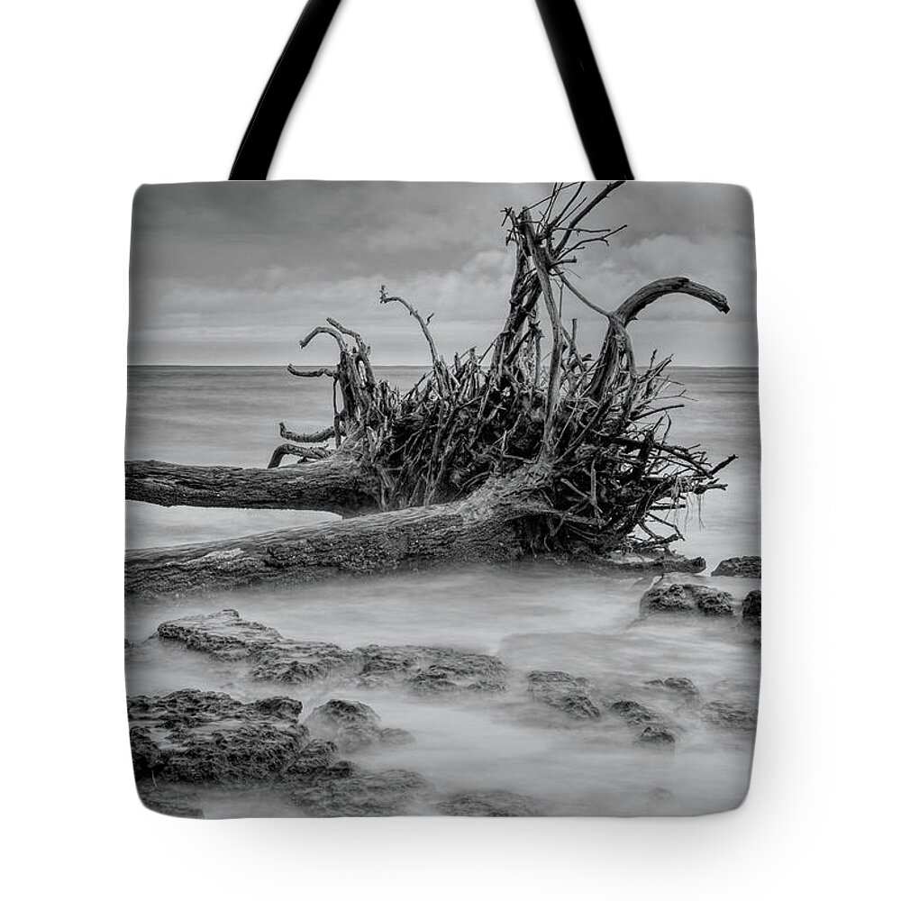 Black Tote Bag featuring the photograph Driftwood Beach in Black and White by Carolyn Hutchins